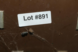 891_19